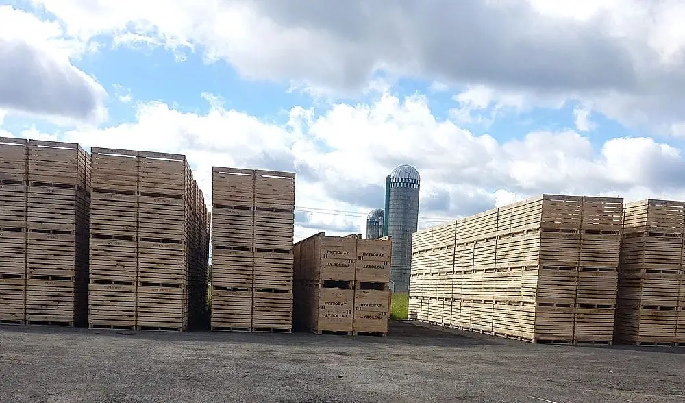 GCharland Boite transport fruit legumes poutre bois escaliers rive-sud bois allumage monteregie quebec